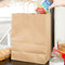 10" x 5" x 13" Kraft Shopping Bag w/ Twist Handle