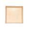 Verterra 5" x 5" Fixed Sided Square Tray